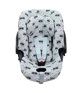 Cybex Cloud Q y Aton M - Vista general Racoon Town