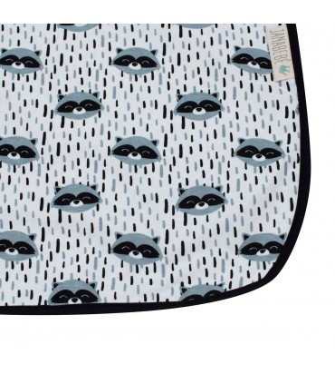 Detalhe lateral da cidade de Racoon