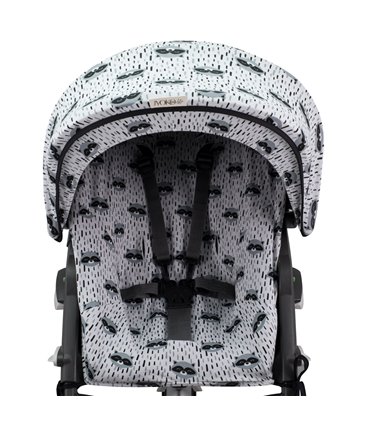 Vista general Racoon Town