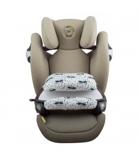 Cybex Pallas M - vista frontal da cidade de Racoon