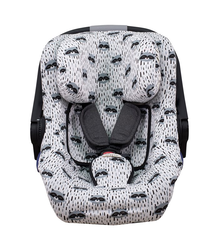 Vista frontal da cidade de Raccoon