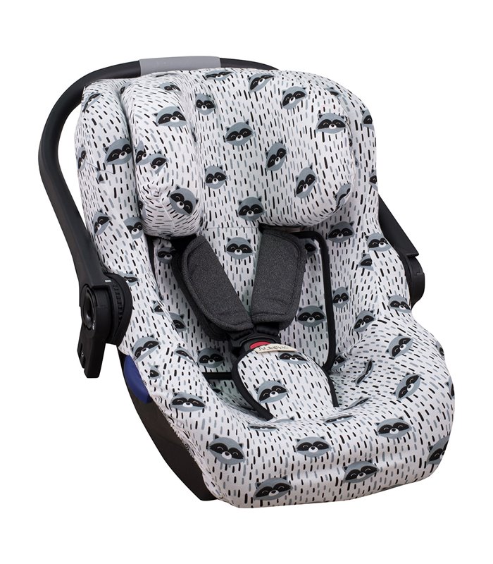 Vista 3/4 Racoon Town