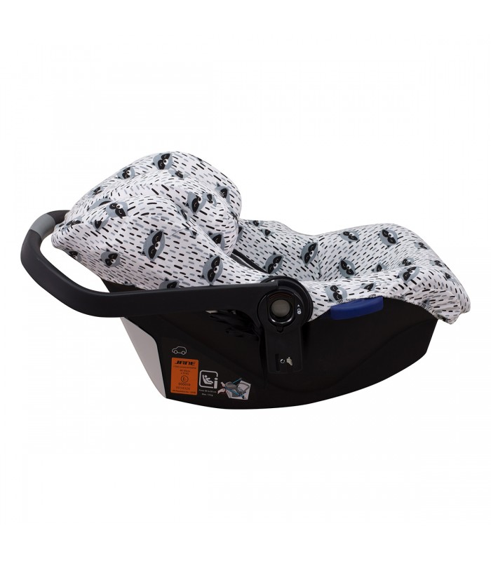 Vista lateral da cidade de Raccoon