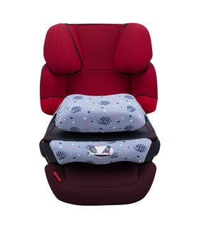 Cybex Pallas Fix - vista frontal Spike