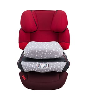 Cybex Pallas Fix - Vista frontal do espigão 2