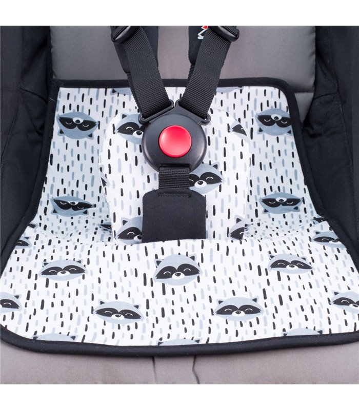 Asegurado Racoon Town