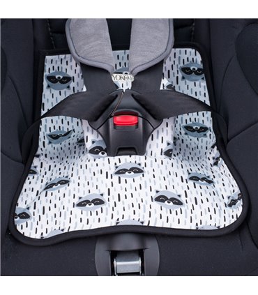 Seguro duplo de Racoon Town