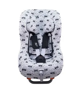 Vista frontal Raccoon