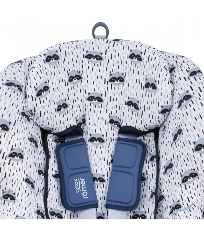 romer dualfix - Detalle superior Raccoon romer dualfix - Detalle superior Raccoon