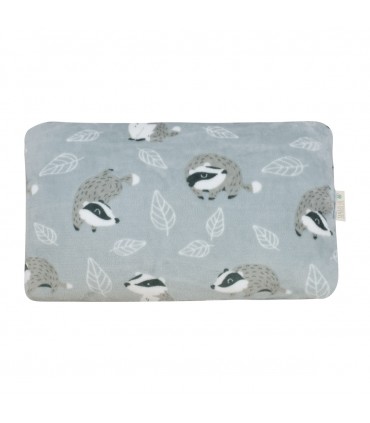 Vista frontal Badger