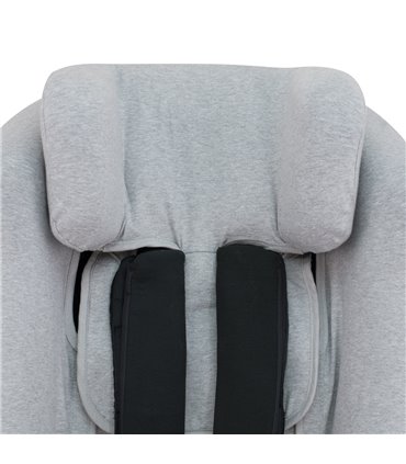 Concord Absorvente xt - Detalhe da cabeça cinza pedra