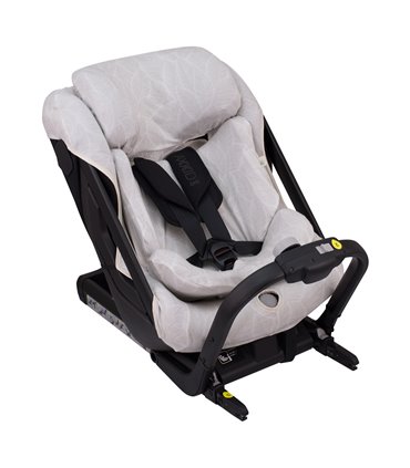 axkid one - Vista 3/4 Bloom