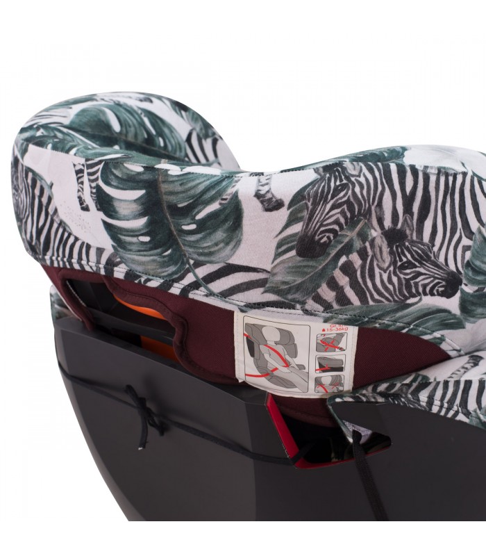 vista 3/4 Detalle cabezal Zebra vista 3/4 Detalle cabezal Zebra