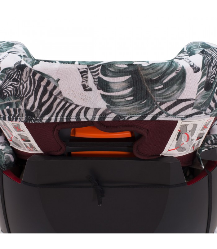 Vista trasera Zebra Vista trasera Zebra