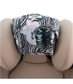 Vista frontal da zebra