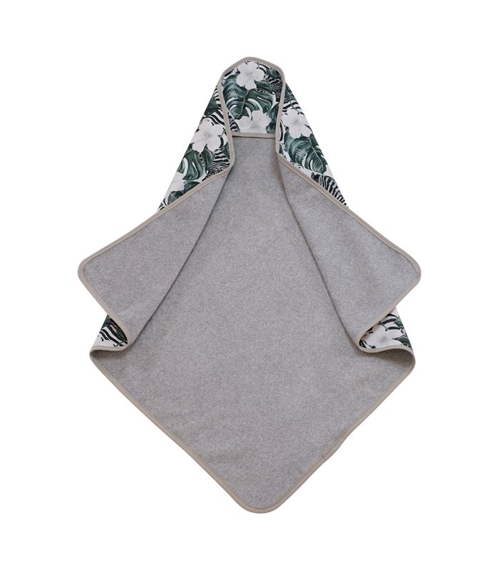 Vista frontal da zebra