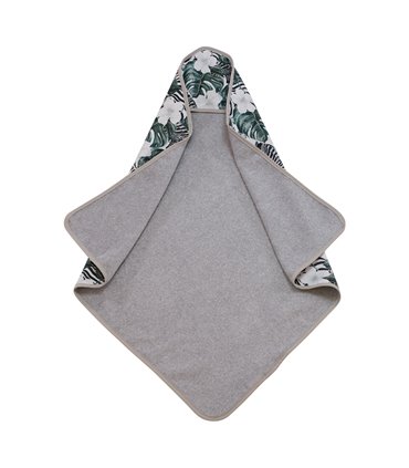 Vista frontal da zebra