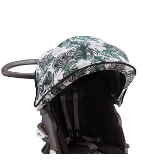 Vista frontal Zebra 2