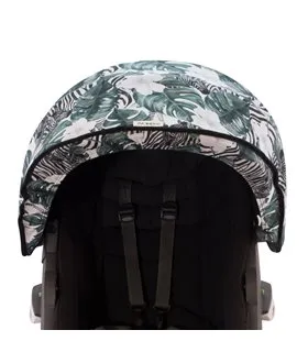 Vista frontal Zebra