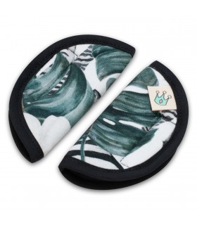 Vista frontal Zebra