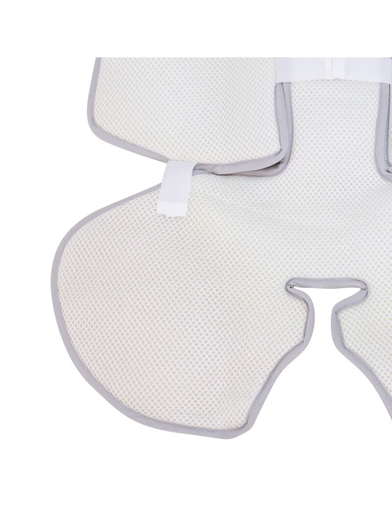 Vista trasera White Star