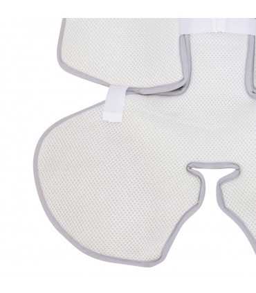 Vista trasera White Star
