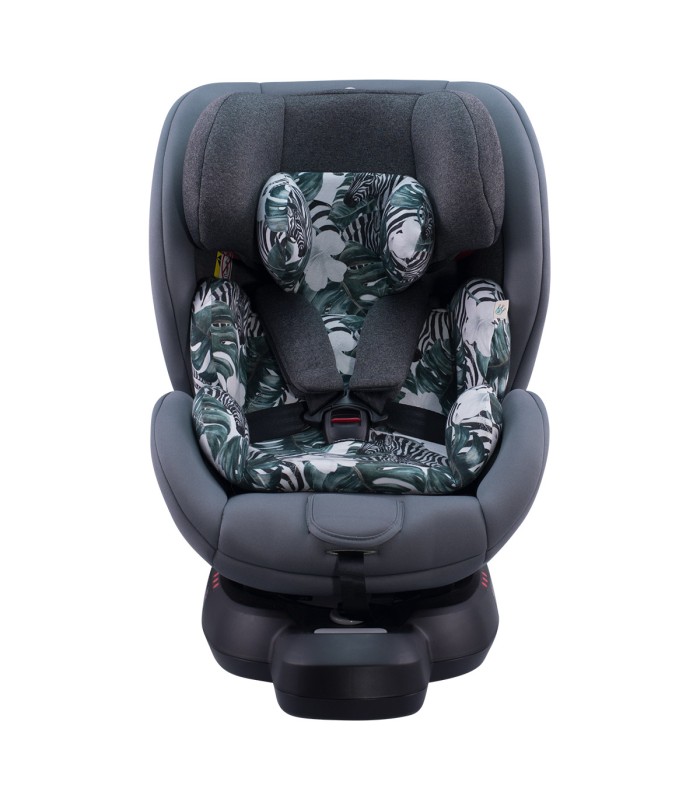 Be Cool Jupiter - Vista frontal Zebra