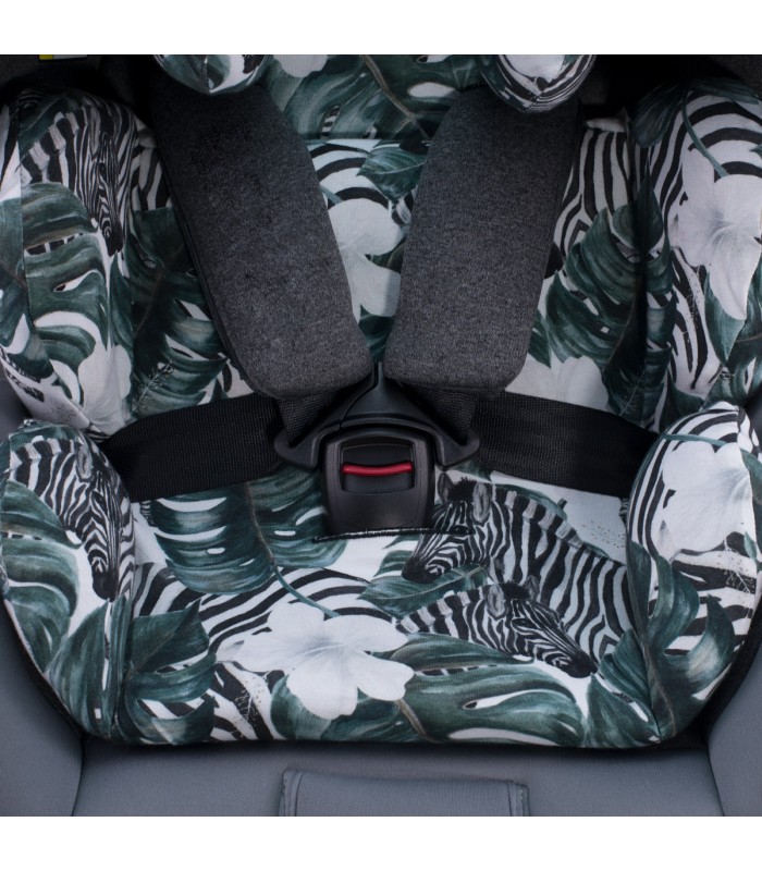 Be Cool Jupiter - Correias de segurança Zebra