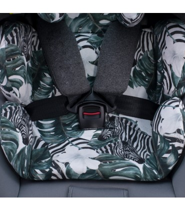 Be Cool Jupiter - Correas de seguridad Zebra