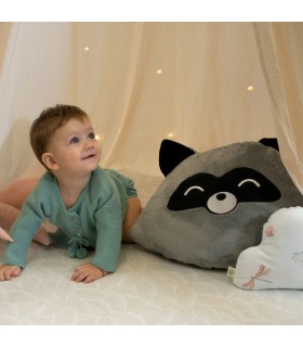 Almofada Guaxinim - Vista Frontal Cinza Pedra 2