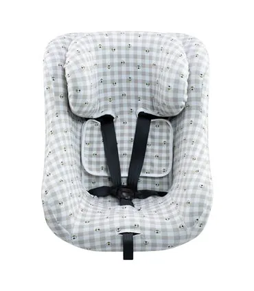 Joie Spin 360 und Nuna REBL - Frontansicht Picknick Vichy