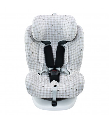 Front view picnic vichy