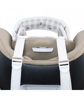 Front View Picnic Vichy 2