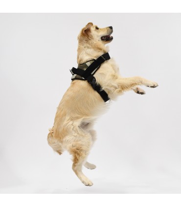 Pettorina Anatomica e Regolabile Village per Cani - 4