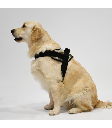 Pettorina Anatomica e Regolabile Village per Cani - 6