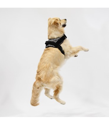 Peitoral Anatômico e Ajustável Pangea para Cães - 1