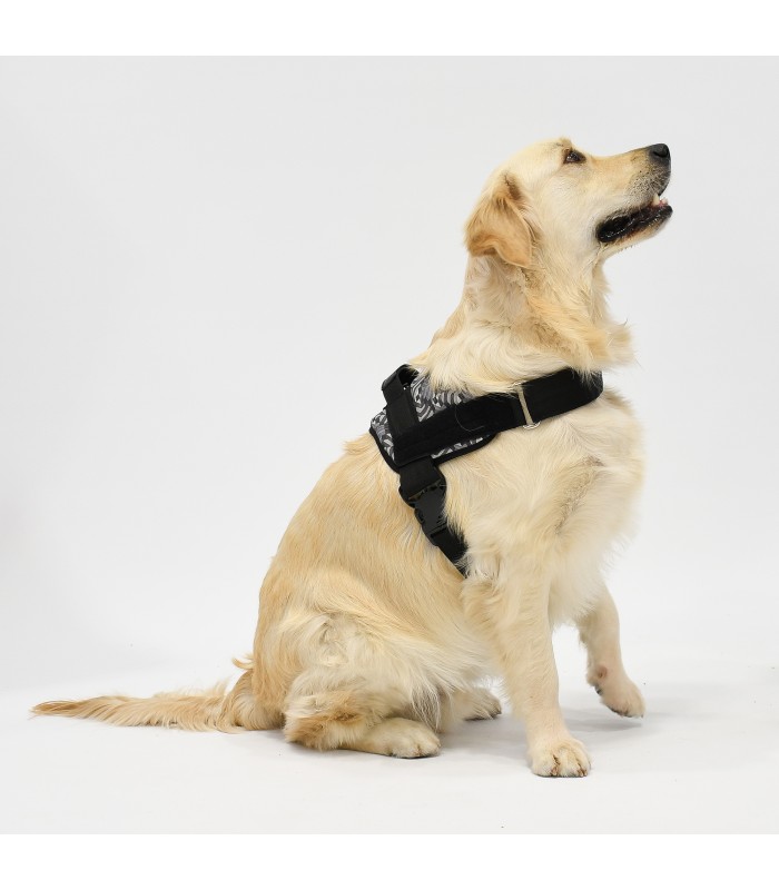 Anatomisches und Verstellbares Hundegeschirr Pangea - 2