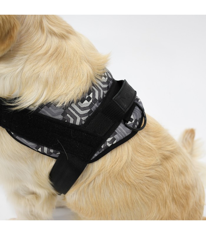 Pettorina Anatomica e Regolabile Pangea per Cani - 3