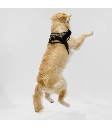 Anatomisches und Verstellbares Hundegeschirr Exotic Couture - 1