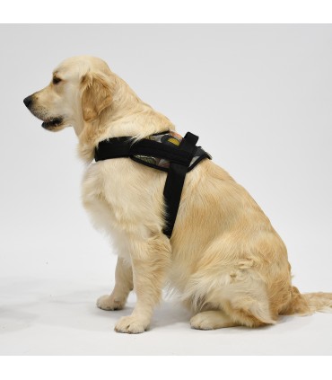 Harnais Anatomique et Réglable Exotic Couture pour Chien - 3