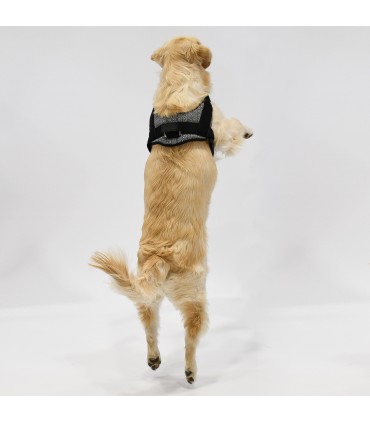 Pettorina Anatomica e Regolabile Ethnic Blue per Cani - 1