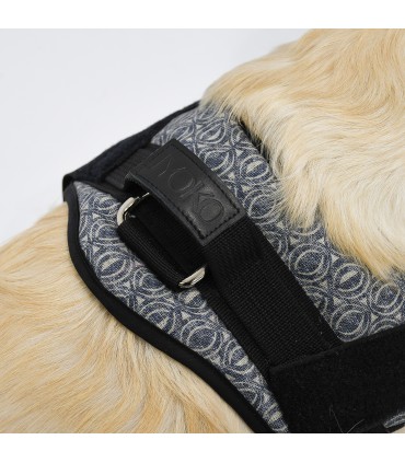 Pettorina Anatomica e Regolabile Ethnic Blue per Cani - 2