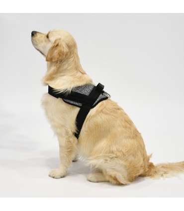 Anatomical and Adjustable Dog Harness Ethnic Blue - 3