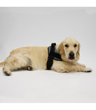 Anatomisches und Verstellbares Hundegeschirr Ethnic Blue - 4