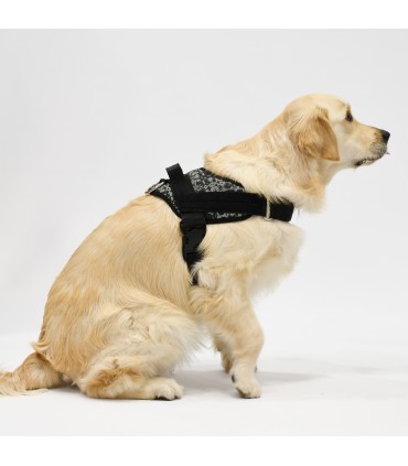Arnes de Perro Anatomico y Ajustable Brooklyn  - 5