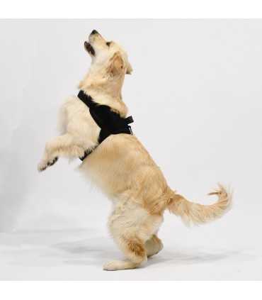 Anatomisches und Verstellbares Hundegeschirr Basic Night - 4