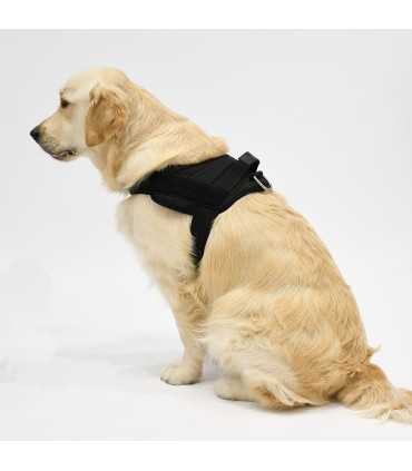 Anatomisches und Verstellbares Hundegeschirr Basic Night - 5