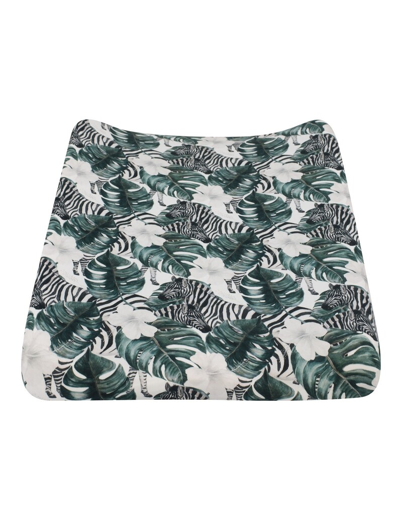 Vista frontal Zebras