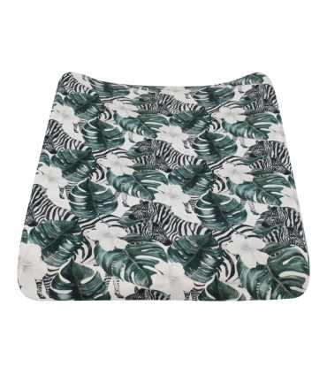 Vista frontal Zebras