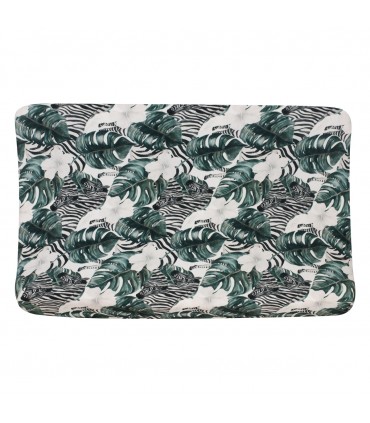 Vista horizontal Zebras